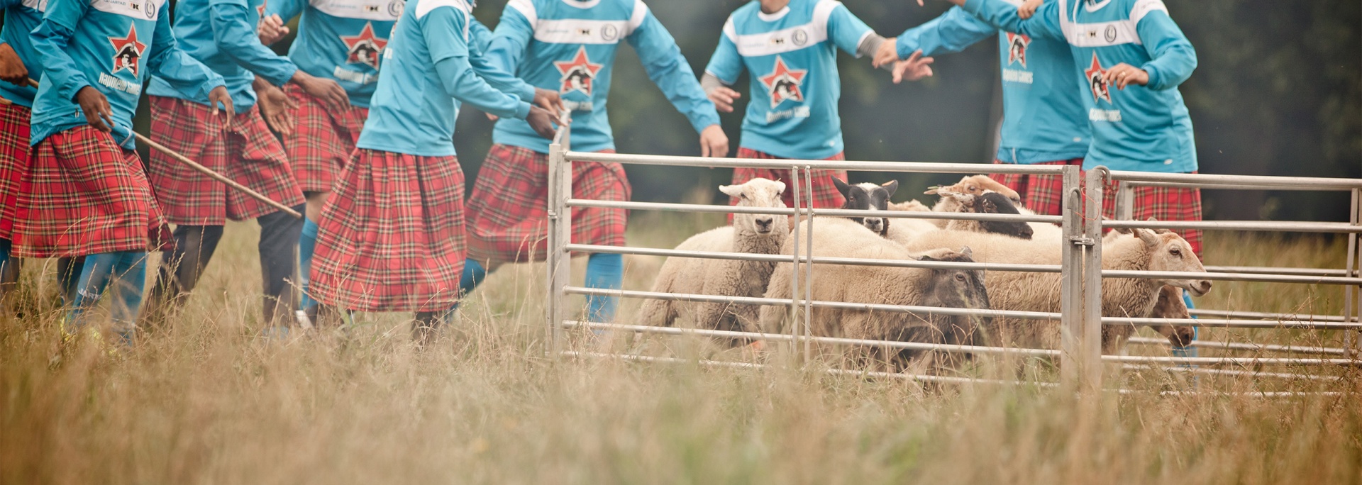 Napoleon Highlandgames