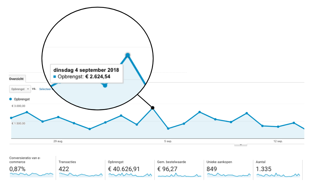 Evolutie opbrengst e-commerce