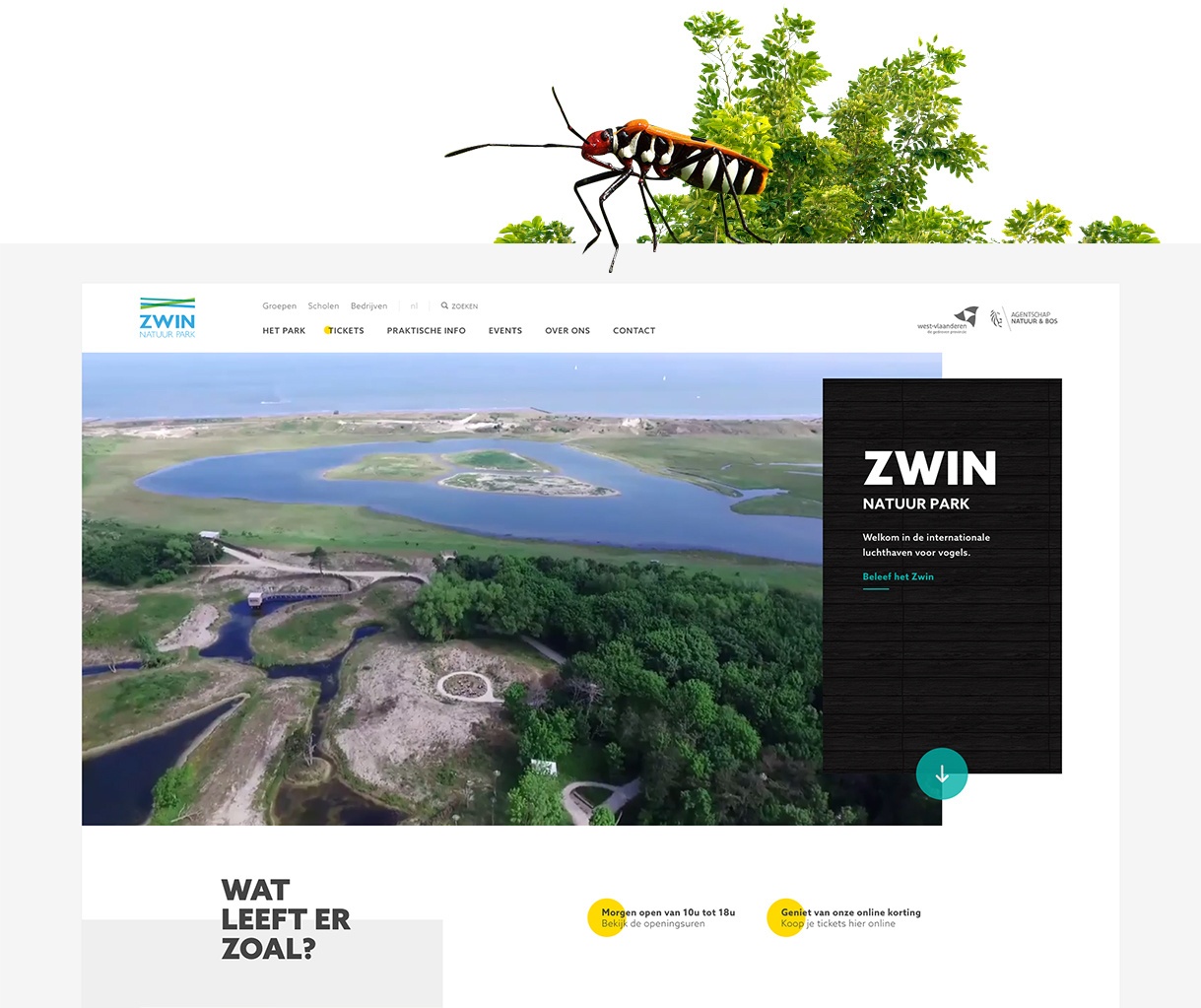 Zwin website homepagina