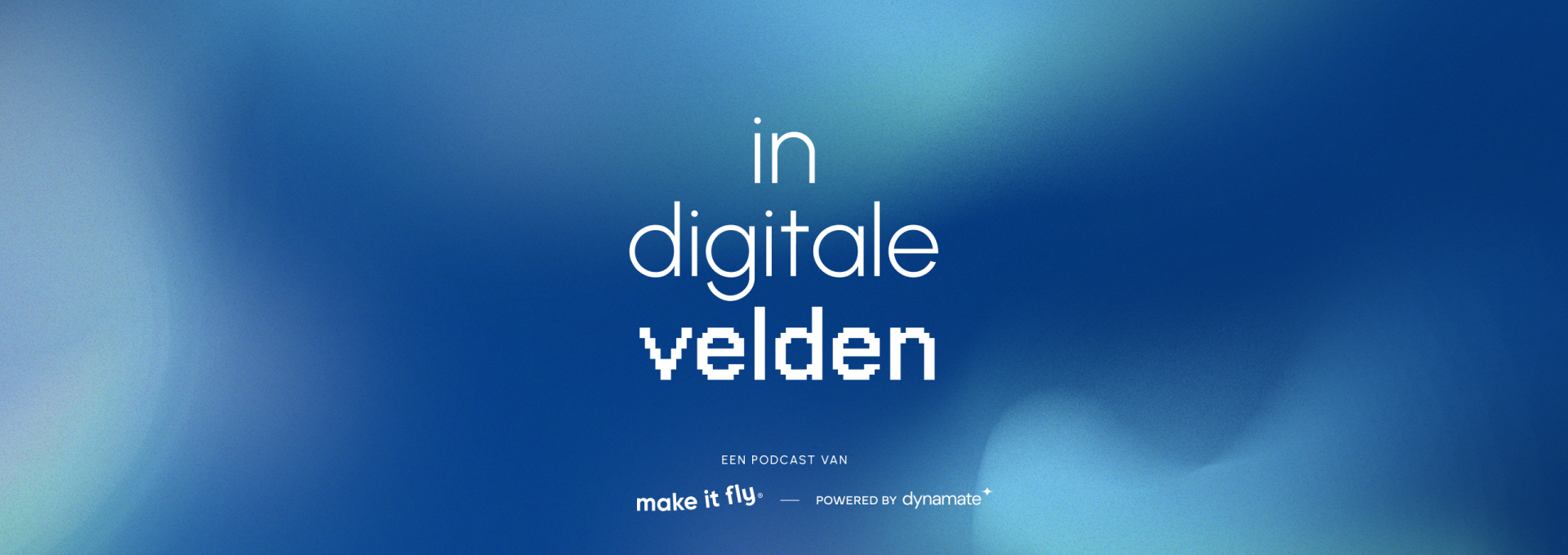 make it fly - In digitale velden