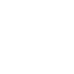 Flutter logo
