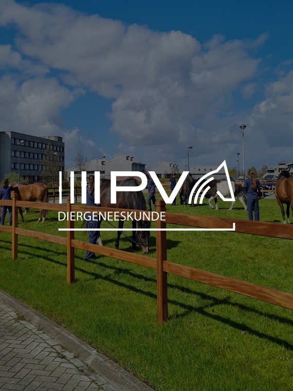 IPV dierengeneeskunde teaser