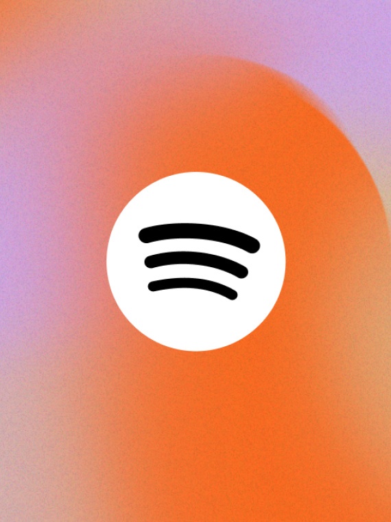 In digitale velden - Spotify