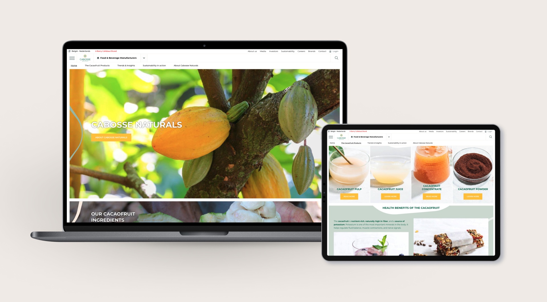 Cabosse Naturals - Website design
