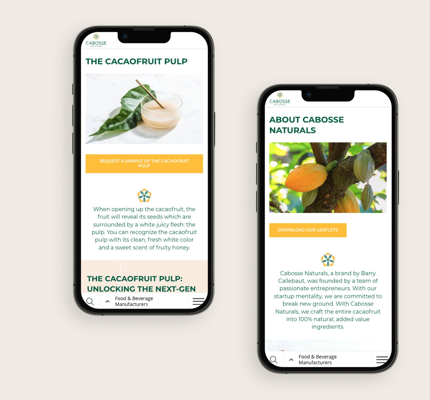 Cabosse mockup iphone